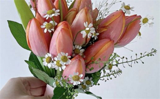 2025年农历七月初四领证可不可以? 今日领证适合吗? 2025年农历七月初四领证可不可以? 今日领证适合吗?