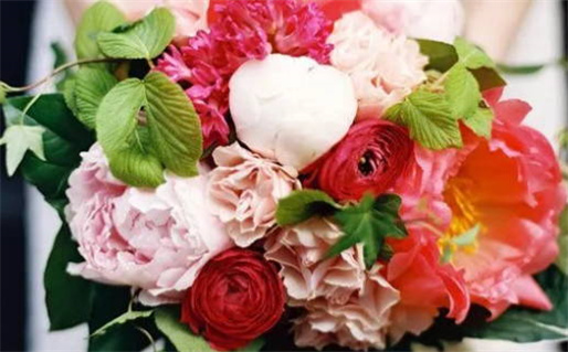 2025年08月26日领证是黄道吉日不？ 今日领证有问题吗？