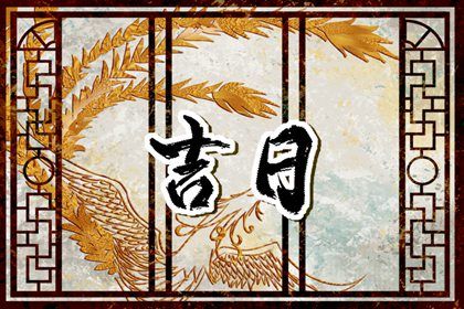2025年08月01日提车吉利吗？ 今日提车适合吗？