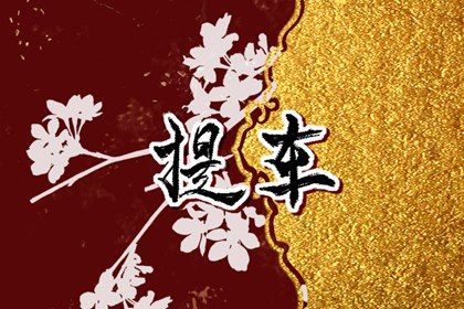 2025年05月20日提车有问题吗？ 买新车是好日子吗？