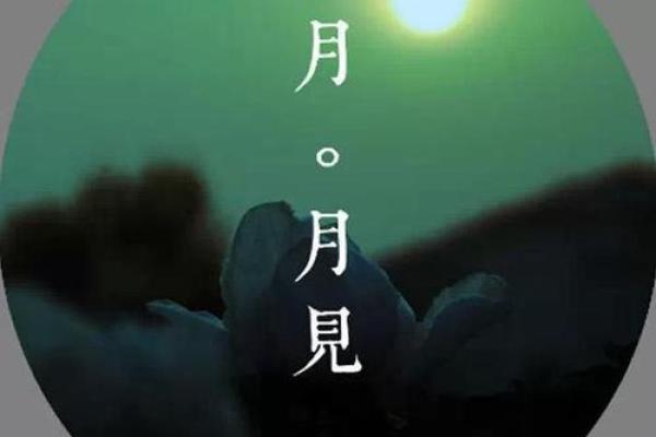 出生的命运特征与人生走向分析