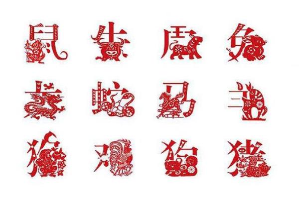 对应什么生肖 探索属相的秘密