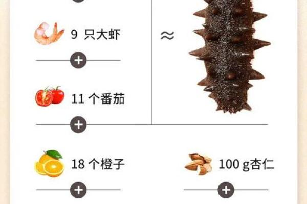 海参名字大全：探索不同海参的种类与特点