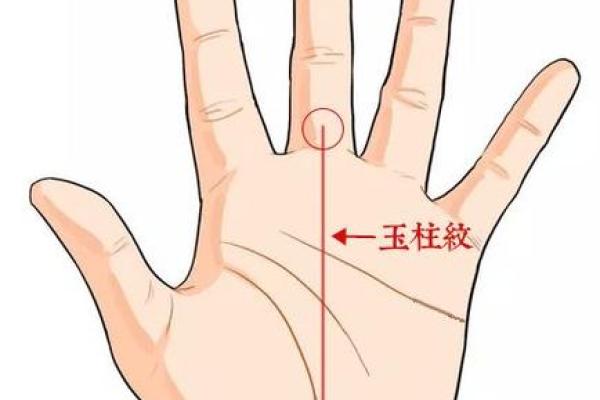 如何判断自己是否拥有右命？
