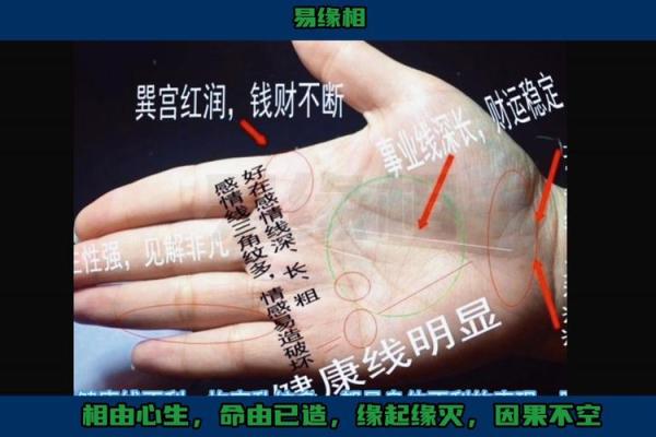 掌中财富：手纹如何决定富贵命运