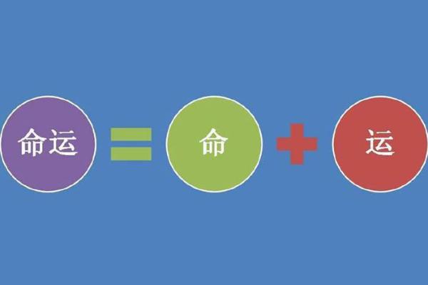 向佐八字分析：揭示命运背后的深层秘密