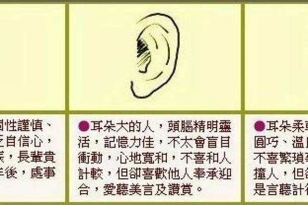 向佐八字分析：揭示命运背后的深层秘密