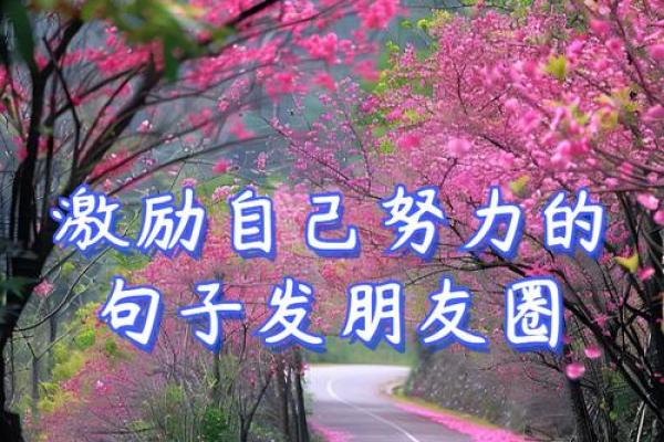 从双甲命看命运中的能量与冲突