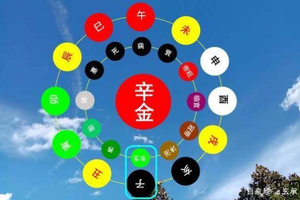 金命命格对人生的影响解析