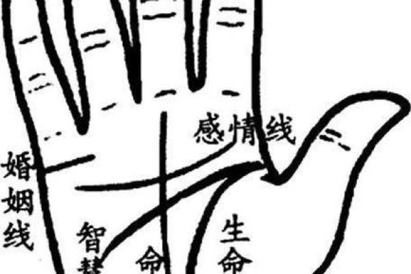 富贵命运的手相特征分析