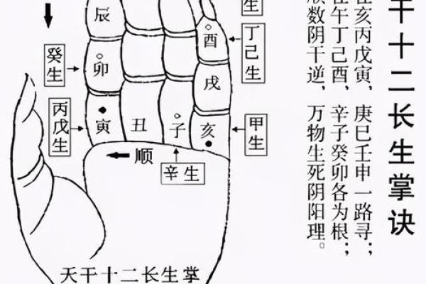 女孩八字强弱对命运的影响解析