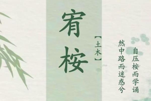 富字在男孩名字中的文化象征