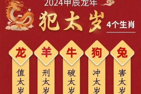 属什么生肖 解析生肖运势与人生规划