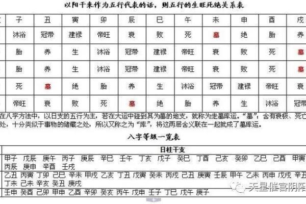 八字称重对照表解析与应用指南