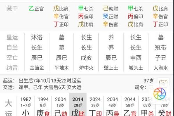 了解八字喜用神在命理中的重要性