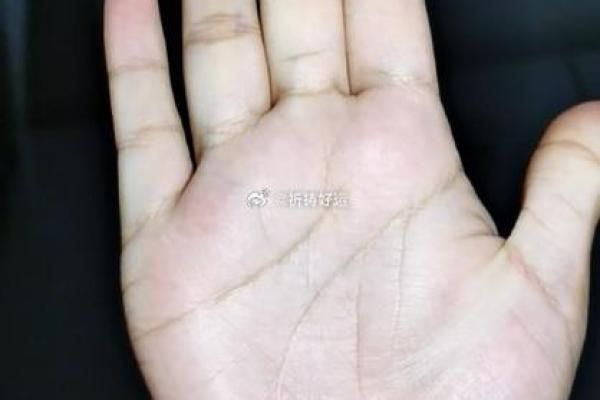 八字珍藏：解读命运背后的神秘密码