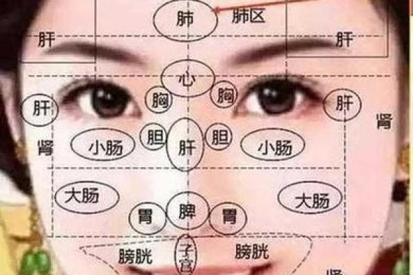 面相风水与个人运势的深度关系解析