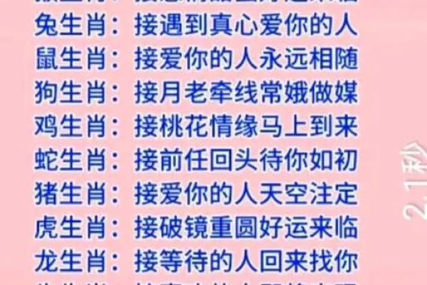生肖速配分析：你的命中注定之人是哪一个生肖