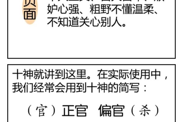 四柱八字十神详解：命运背后的密码