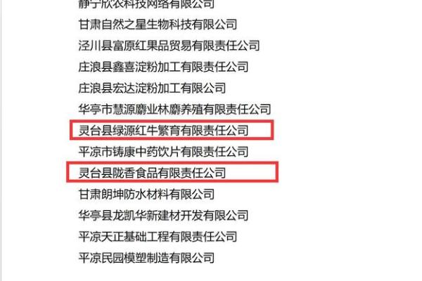 创新科技公司命名方案：为企业定制专属名称