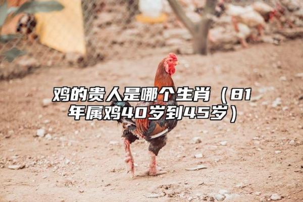 了解属什么生肖 这将影响你的人生走向