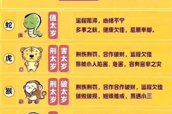十二生肖运势预测：如何把握好运与避免劫难