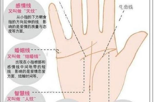 富贵之手：识别手纹中的富贵命图