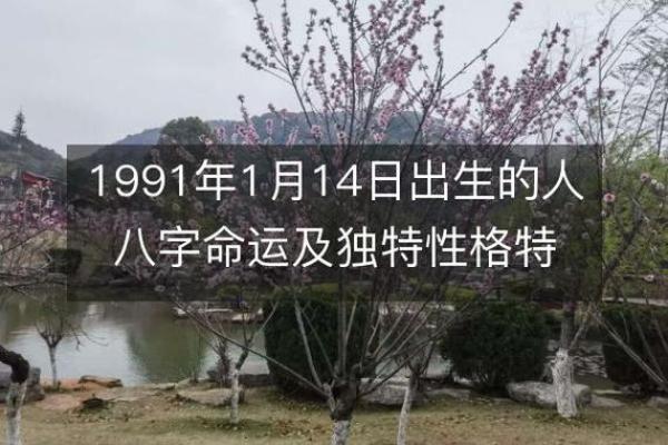 出生的命运和性格特征探讨