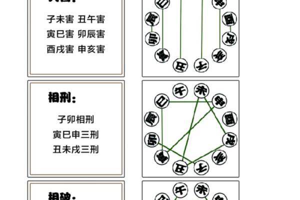 子午相冲与生肖的关系解析：哪些生肖受其影响最大