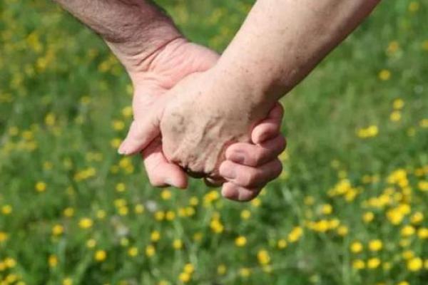 男虎与女猴婚姻幸福指数解析