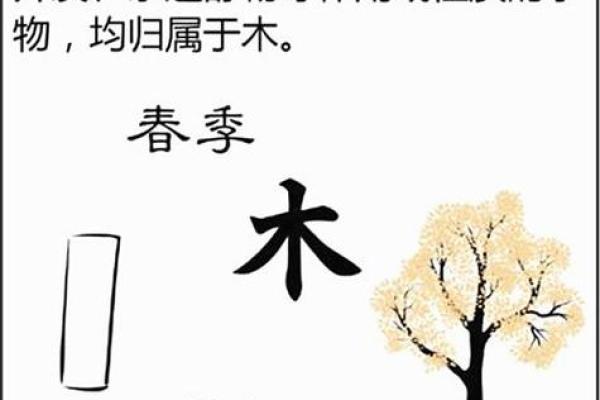 骏字的五行属性解析及其在命理中的应用