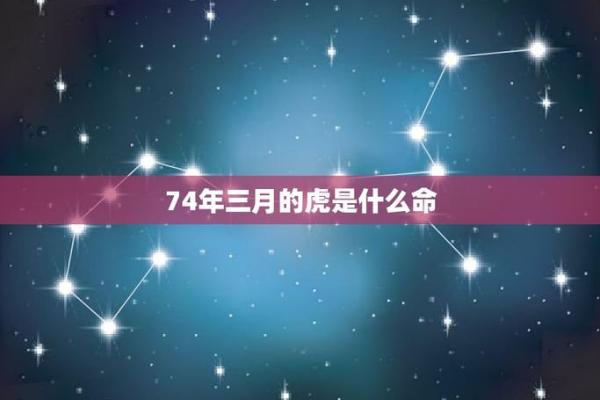 虎属水命的出生年份及其性格解析
