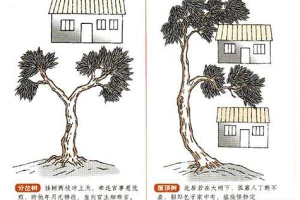 避开这些农村家居风水大忌，家运更旺