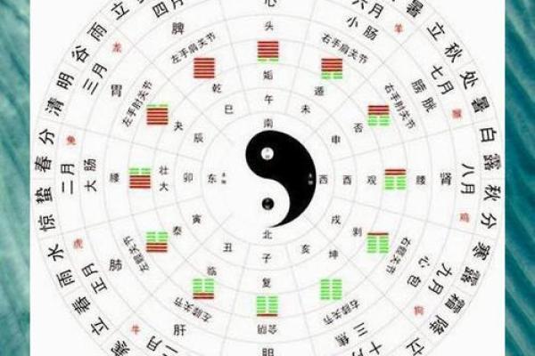 五行命理：解析不同五行属性对命运的影响
