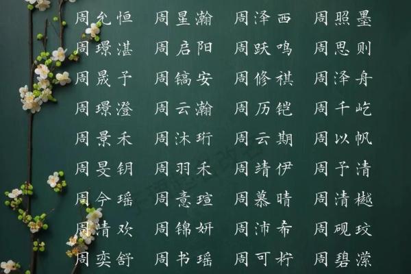 给周姓宝宝取名，寓意与音韵的完美结合