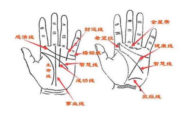 手掌纹路与富贵命的关系解析