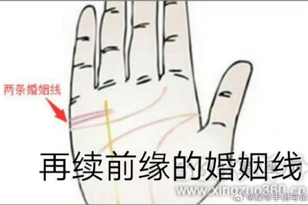 手掌纹路与富贵命的关系解析