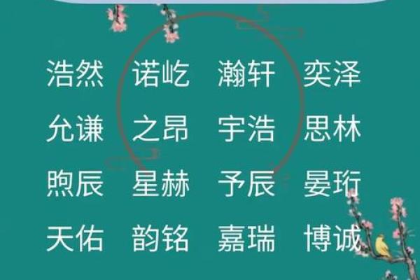 虎年出生的人命运特点解析
