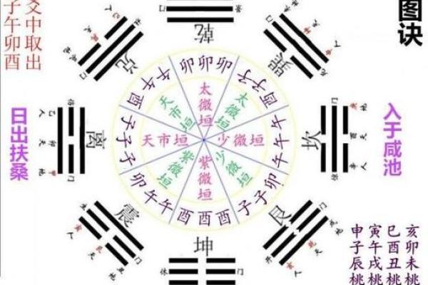 甲子日柱女性的魅力与吸引力