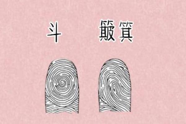 探讨斗簸萁命在命理中的独特含义