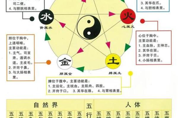八字龙库的深层解析与命理应用