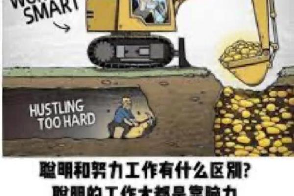 命运中的富贵命：是天赐还是后天努力的体现