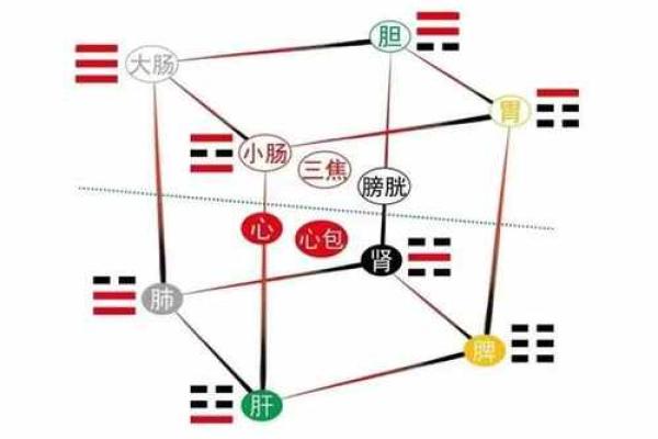 东四命卦的基本概念与实际运用方法