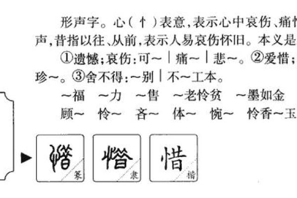 泽希名字背后的美好寓意与文化内涵