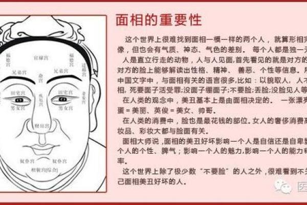 面部风水在健康中的关键作用