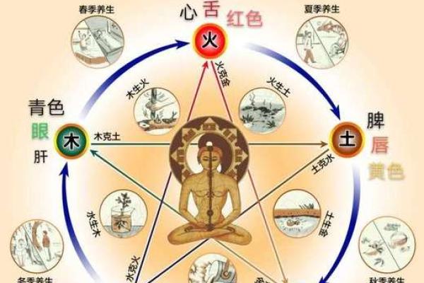 华五行与中国传统文化的深度探讨与应用分析