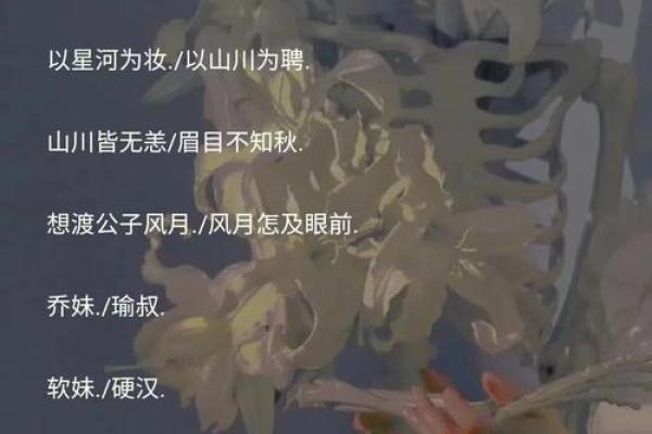 炫舞情侣名字推荐两个字，甜蜜又独特