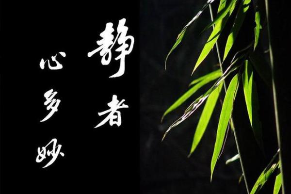 用心字为名字赋予无限可能和深远意义