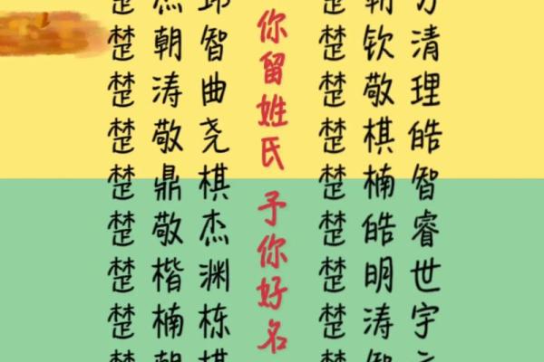 免费的男宝宝起名大全与选名建议 免费的男宝宝起名大全与选名建议