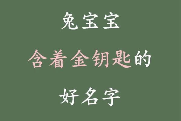 蛇宝宝男孩起名指南 专注个性与寓意 蛇宝宝男孩起名指南 专注个性与寓意